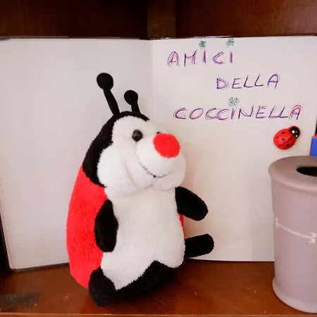 La Coccinella *